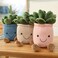 Evlooe 3pcs Succulents Plush Toy Cute Succulents Plushies Stuffed Potted Plants Plush Doll Soft Plush Succulent Gifts for Kids Boys PinkWhiteBlue