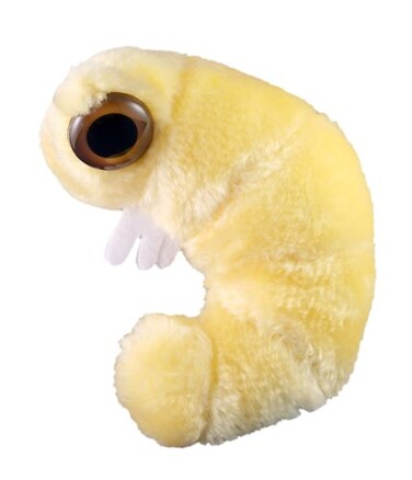GIANT MICROBES GIANTmicrobes Bookworm Plush Learn About Science Microbes Books and Worms with This Adorable Gift for Friends Family Readers Librarians Scientists Bibliophiles Insect Fans and Nature Lo