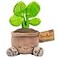 Russ Greenhouse 12Inch Pilea Plant Plush Ultrasoft Official Jazwares Plush Ages 3