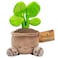 Russ Greenhouse 12Inch Pilea Plant Plush Ultrasoft Official Jazwares Plush Ages 3