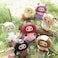Meokro Baby Three Little Elf Series Animal Elements Plush Doll Cute Soft Stuffed Toys Pendant Keychain Trendy Doll Box Gifts 12 Styles Random 1pc