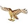 Safari Ltd. Safari Ltd RedTailed Hawk Figurine Detailed 575 Plastic Model Figure with Wingspan Fun Educational Play Toy for Boys Girls Kids Ages 3