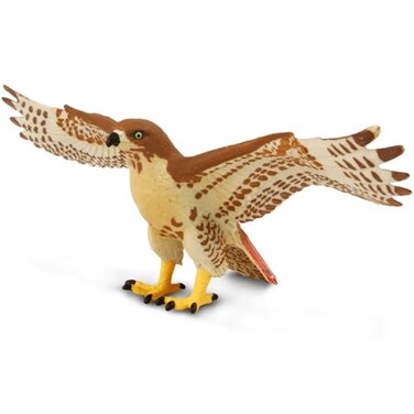 Safari Ltd. Safari Ltd RedTailed Hawk Figurine Detailed 575 Plastic Model Figure with Wingspan Fun Educational Play Toy for Boys Girls Kids Ages 3