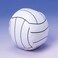 U. S. Mini Volleyballs 2Pack of 12