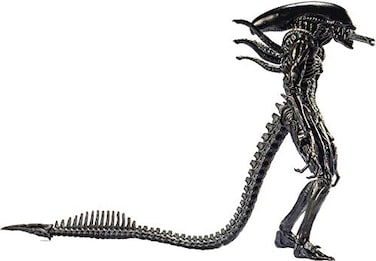 Hiya Toys Alien vs Predator Alien Warrior 118 Scale Action Figure Multicolor