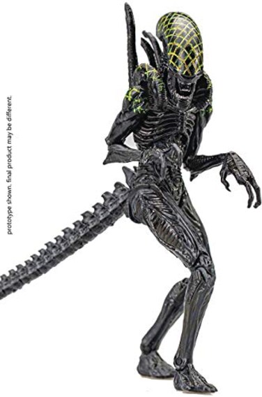 Hiya Toys Alien vs Predator Grid Alien 118 Scale Action Figure Multicolor