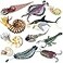 RCOMG 11PCS Prehistoric Sea Creatures Toys Ancient Cambrian Ocean Animal Figurines Plastic Educational Marine Animal Figures for Cake Topper School Project Learning Toy