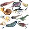 RCOMG 11PCS Prehistoric Sea Creatures Toys Ancient Cambrian Ocean Animal Figurines Plastic Educational Marine Animal Figures for Cake Topper School Project Learning Toy