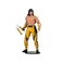 McFarlane Toys Mortal Kombat Liu Kang Fighting Abbot 7 Action Figure with Accessories