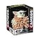 Koosh Cameos Grogu Star Wars The Mandalorian Collectible Collect Them All Ages 8 4 x 325 x 45 Inch
