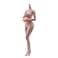 SOUFORCE 16 Scale Super Flexible Female Body 12 Pale Skin Large Bust Seamless Miniature Action Figure Body Doll Collection Without Head Sculpt
