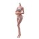 SOUFORCE 16 Scale Super Flexible Female Body 12 Pale Skin Large Bust Seamless Miniature Action Figure Body Doll Collection Without Head Sculpt