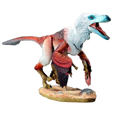 Everything Dinosaur Beasts of the Mesozoic Raptor Series Limited Edition Velociraptor osmolskae Alpha