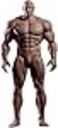 RoofWorld 112 Scale Male Action Figure Strong Muscle Joint Body 6 inch Super Flexible Comic Soldier Action Figure Body Doll Collection