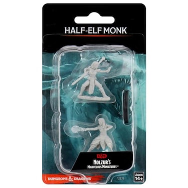 WizKids DD Nolzurs Marvelous Miniatures Female HalfElf Monk