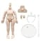 niannyyhouse DOD 10cm Doll Action Figures Body Suitable for 112 BJD Dolls Head Milky WhiteStandard Package A