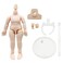 niannyyhouse DOD 10cm Doll Action Figures Body Suitable for 112 BJD Dolls Head Milky WhiteStandard Package A