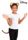 elope Disney Winnie The Pooh Tigger Ears Headband and Tail Costume Kit for Adults and Kids Standard Orange