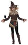 California Costumes Girls Creepy Scarecrow Costume Medium