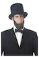 California Costumes mens Honest Abe Beard Adult Sized Costumes Brunette One Size US