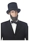 California Costumes mens Honest Abe Beard Adult Sized Costumes Brunette One Size US