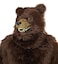 California Costumes Deluxe Grizzly Bear Costume with Moveable Jaw Mask