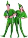 Rubies Charades Unisex Adult Peter Pan Sized Costumes Green Medium US