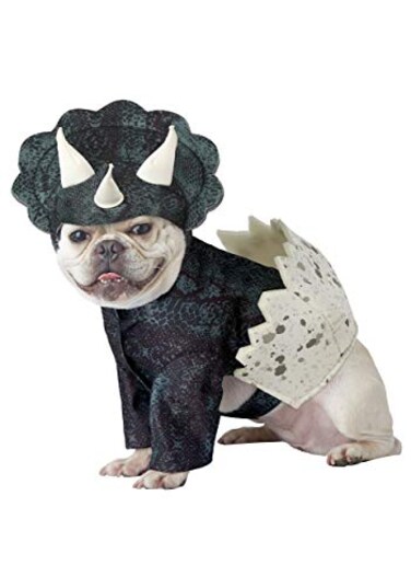 California Costumes Dog Dino Pup Costume Medium