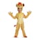 Disguise Disney Junior Kion Lion Guard Deluxe Toddler Boys Costume