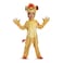 Disguise Disney Junior Kion Lion Guard Deluxe Toddler Boys Costume