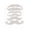 Fun Express White Mustache Assortment