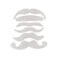 Fun Express White Mustache Assortment