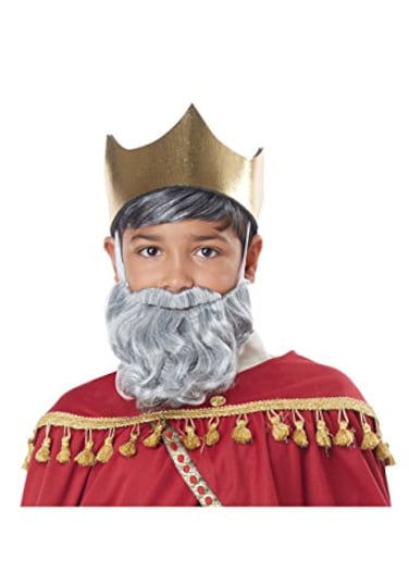 California Costumes Boys Wise Man Beard Moustache Child Gray One Size