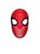 Cosplay Life Spider Face Shell With Lenses Spider Mask Halloween Costume Accessory Far from Home 25cm