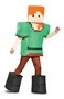 Disguise Alex Prestige Minecraft Costume Multicolor Medium 78