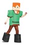 Disguise Alex Prestige Minecraft Costume Multicolor Medium 78