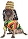 Rubies Princess Pet Costume for Dogs or Cats XXL