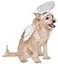 Rubies Angel Pet Halo Wing Set for Dogs or Cats SM