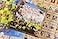 IELLO Bunny Kingdom Strategy Board Game Expand Your Fief By Just a Hare 45 Minute Play Time 2 to 4 Players for Ages 14 and Up