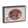 Professor PUZZLE Escape from The Starline Express Escape Room Game Multiplayer BrainTeasing Game Escape The Room Game by Professor Puzzle