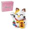 Larcele Cat Micro Building Blocks Pet Mini Building Toy Bricks1163 Pieces KLJM02 Fortune CatModel 4569