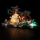 BRIKSMAX Light for Lego DagobahJediTrainingDiorama 75330 Led Lighting Kit Compatible with Lego Star Wars 75330 Not Include The Lego Set