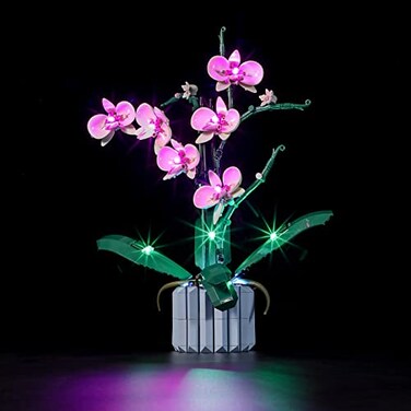 BRIKSMAX Led Lighting Kit for LEGO10311 Orchid Compatible with Lego Creator Expert Building Blocks Model Not Include The Lego Set