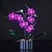 Hilighting Upgraded Light Kit for Lego Orchid Artificial Plant Building Set Compatible with Lego 10311 Best Gifts for Adults Model Not Included