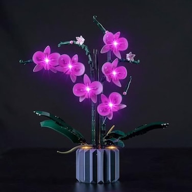 Hilighting Upgraded Light Kit for Lego Orchid Artificial Plant Building Set Compatible with Lego 10311 Best Gifts for Adults Model Not Included