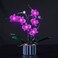 Hilighting Upgraded Light Kit for Lego Orchid Artificial Plant Building Set Compatible with Lego 10311 Best Gifts for Adults Model Not Included