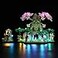 LIGHTAILING Light for Lego77092 Great DekuTree 2in1 Led Lighting Kit Compatible with Lego Building Blocks Model NOT Included The Model Set