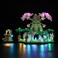 LIGHTAILING Light for Lego77092 Great DekuTree 2in1 Led Lighting Kit Compatible with Lego Building Blocks Model NOT Included The Model Set
