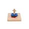 Adena Montessori Twist Sort Dowel Set Preschool Equipment Early Development Baby Toy Montessori Fine Motor Skills Development
