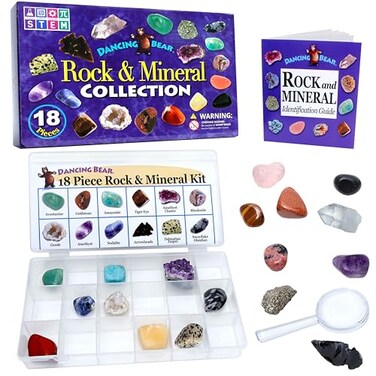 DANCING BEAR 18 Pc Rock and Mineral Educational Collection Deluxe Collection Box with Description Sheet and Educational Information Limited Edition Geology Gem Kit for Kids with Display Case